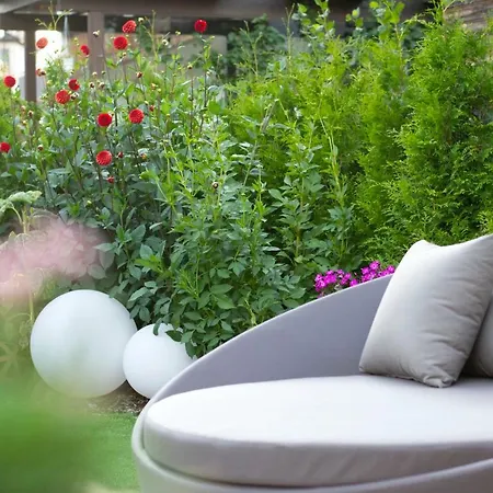 فندق Boutiquehotel Clara بَرونيكو
